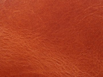 Примавера коньяк 06